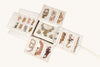Jewellery Organiser - Big (BJ4) Cream