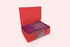 Lehenga Organiser - Scarlet