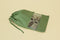 Drawstring Shoe Bag - Crocodile Green