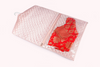 Saree/Dress Organiser (Hanging) - Champagne pink