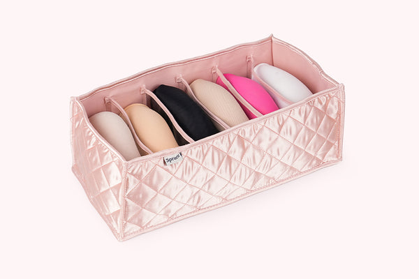 Innerwear Organiser (6 Compartments) - Champagne Pink